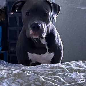 Meet your Posher, Lorraine